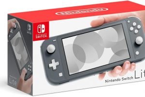 Switch Lite Gris